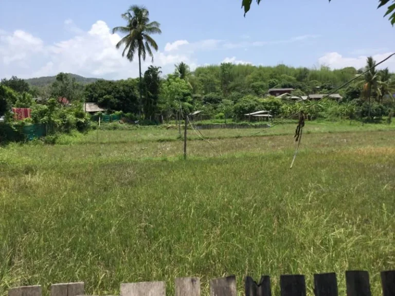 ขายบ้านพร้อมที่ดินห่างโรงเรียนเปรมแม่ริม 15 km