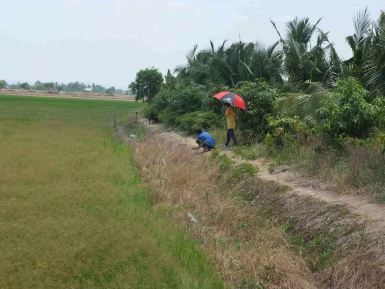 ขายที่ดินสวนเกษตร 5 ไร่ มีน้ำไฟ ติดถนนลาดยาง 70 เมตร อำเภอเมือง จังหวัดสุพรรณบุรี