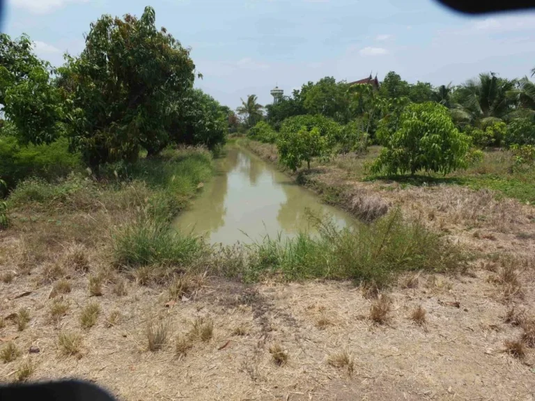 ขายที่ดินสวนเกษตร 5 ไร่ มีน้ำไฟ ติดถนนลาดยาง 70 เมตร อำเภอเมือง จังหวัดสุพรรณบุรี