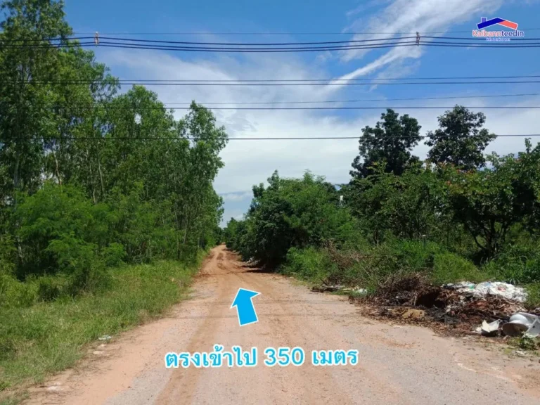 ขายที่ดินใกล้มข 20 ไร่ ถมแล้วสูงกว่าถนน ถนนโคลัมโบ ตำบลศิลา