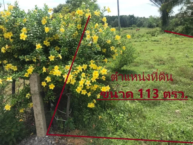 ขายที่ดินราคาถูก ใกล้ทะเลอันดามันเพียง 150 เมตร