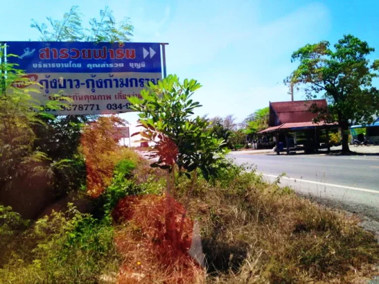 ที่ดิน 24-2-73 ไร่ ตสระสี่มุม ถทางหลวง 3232 กำแพงแสน นครปฐม