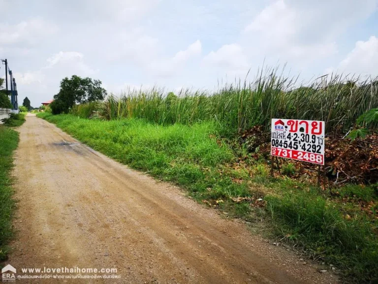 ขายที่ดินแปลงใหญ่รวม 3 โฉนด ถนนคลองหลวง-คลองหนึ่ง พื้นที่รวม 4-2-309ไร่ ใกล้มหาวิทยาลัยกรุงเทพใกล้มธรรมศาสตร์รังสิต ขายต่ำกว