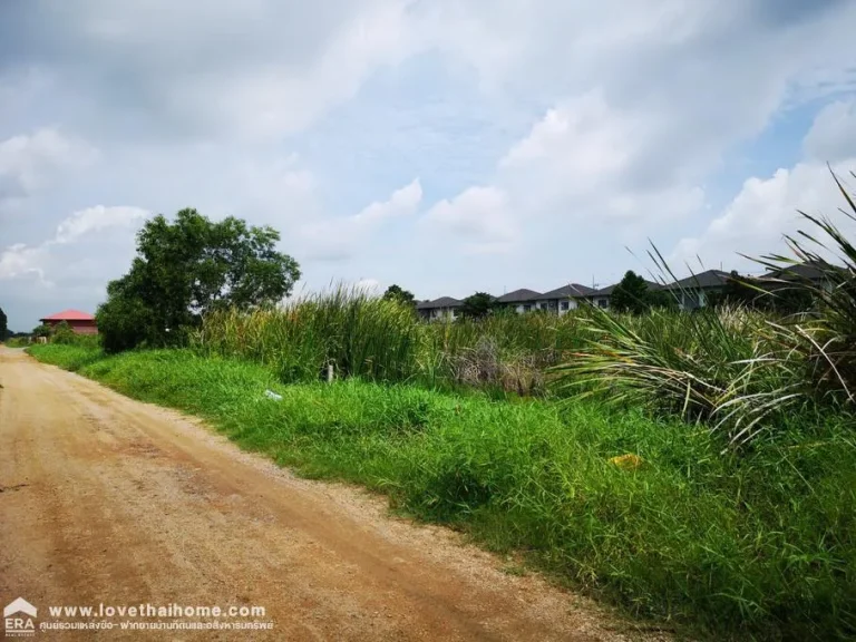 ขายที่ดินแปลงใหญ่รวม 3 โฉนด ถนนคลองหลวง-คลองหนึ่ง พื้นที่รวม 4-2-309ไร่ ใกล้มหาวิทยาลัยกรุงเทพใกล้มธรรมศาสตร์รังสิต ขายต่ำกว