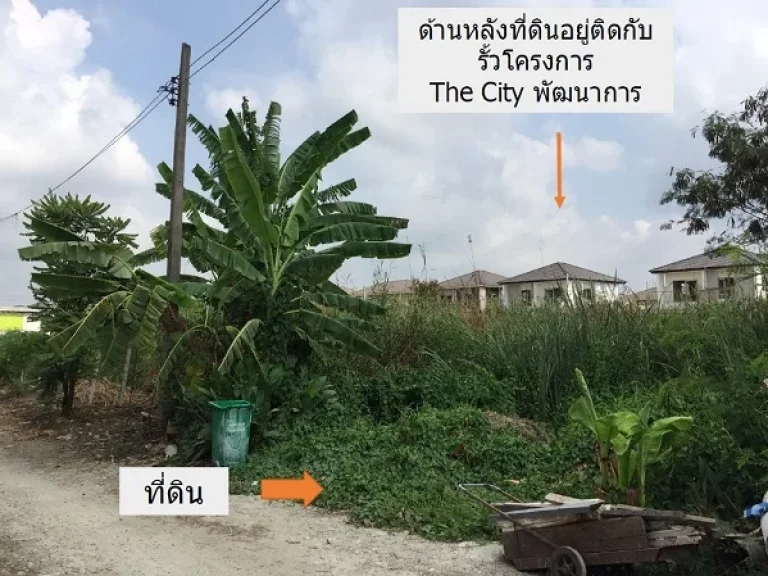 ขายที่ดิน 180 ตรว ซอ่อนนุช 701 แยก 2 พัฒนาการ 97 ติดกับรั้วโครงการ The City พัฒนาการ