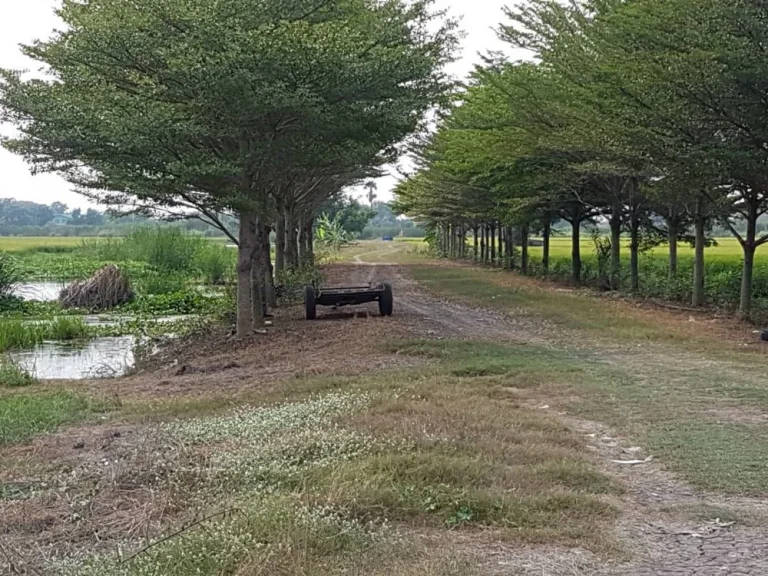 ขายที่ดินทำเลดี 60 ไร่ ริมทางรถไฟสายเหนือ หลัง มธรรมศาสตร์รังสิต