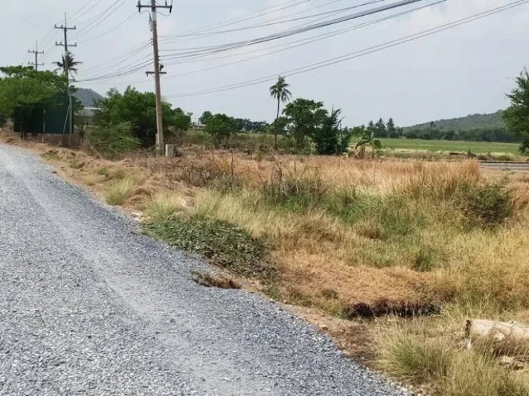 ขาย ที่ดินเปล่า ติดถนนสุพรรณบุรี-ชัยนาท แปลงใหญ่