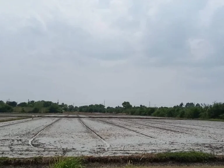 ขาย ที่ดินเปล่า ติดถนนสุพรรณบุรี-ชัยนาท แปลงใหญ่