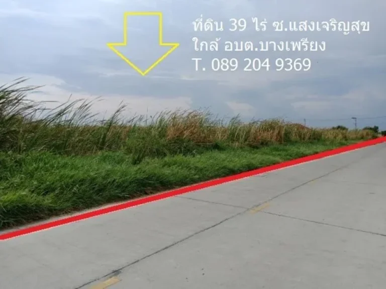 ขายที่ดิน39ไร่ ซอยแสงเจริญสุข ตำบลบางเพรียง อำเภอบางบ่อ จังหวัดสมุทรปราการ 089 204 9369 นก