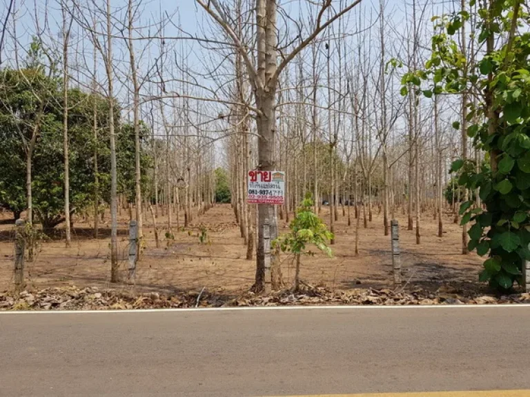 ที่ดิน บ้านมืดกา ถนนเชียงใหม่-ฝาง แม่แตง เชียงใหม่