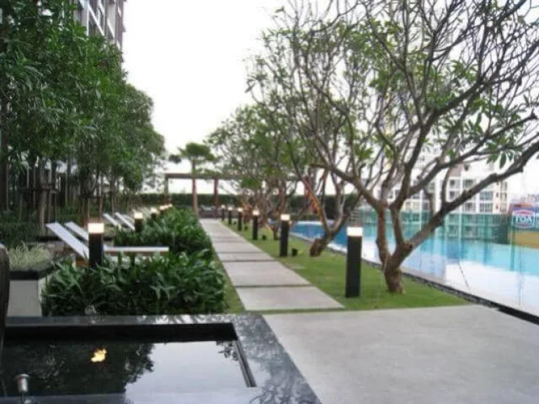 Condo For Ren Ideo Ladprao 5 ไอดีโอ ลาดพร้าว 5 13000 THBMonth