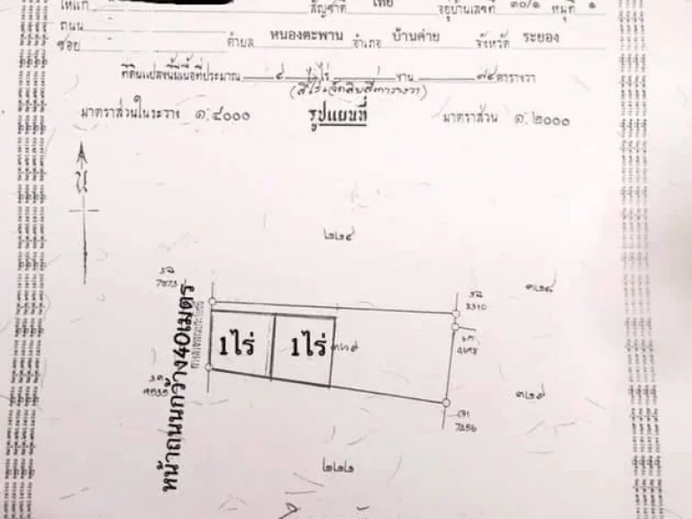 ขายที่ดินจำนวน2แปลงราคาถูก ด่วน