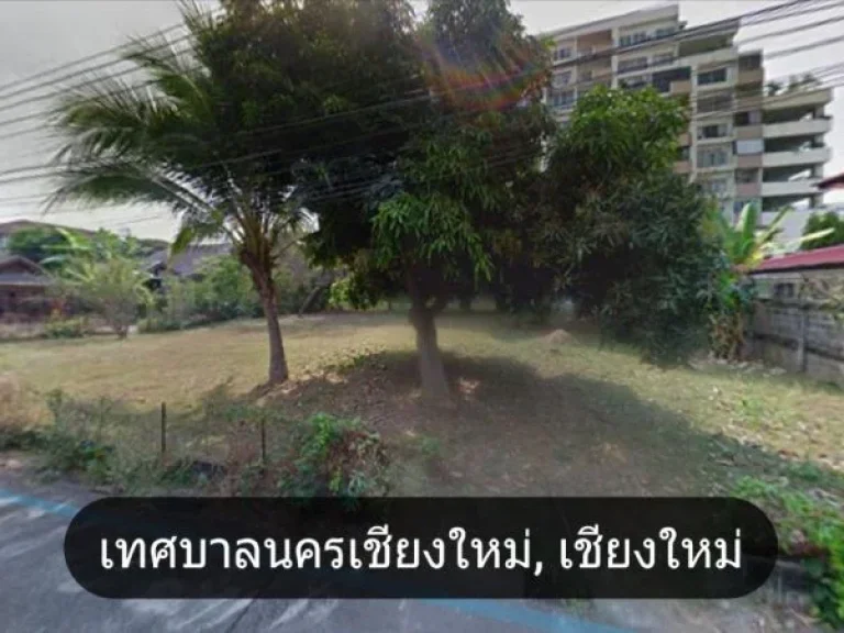 ขายที่ดิน แปลงสวย 294 ตรวใกล้ มเชียงใหม่ ตสุเทพ เมืองเชียงใหม่