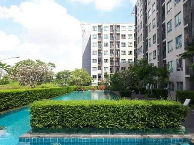 ตัดใจขายถูก Iris Avenue อ่อนนุช-วงแหวน ลาดกระบัง ซอย 14