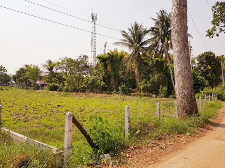 ขาย ที่ดินสวย 1 ไร่ 19 ตรว ใกล้ศูนย์มีชัย ด้านหลังเซเว่นอีเลเว่น มหาสารคาม