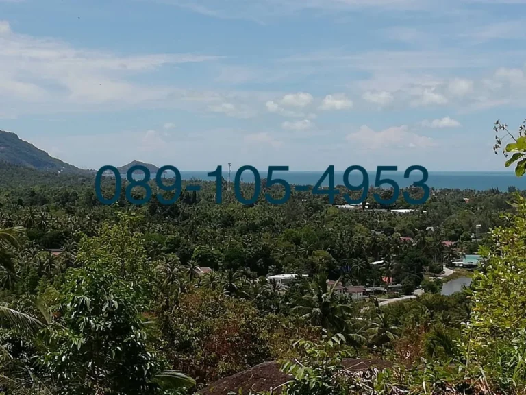 Land For Sale Speacial Price ขายที่ดินสวย วิวทะเล ติดถนนใหญ่ ราคาพิเศษ สนใจติดต่อ 089-105-4953