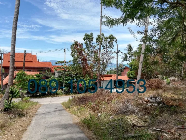 Land For Sale Speacial Price ขายที่ดินสวย วิวทะเล ติดถนนใหญ่ ราคาพิเศษ สนใจติดต่อ 089-105-4953