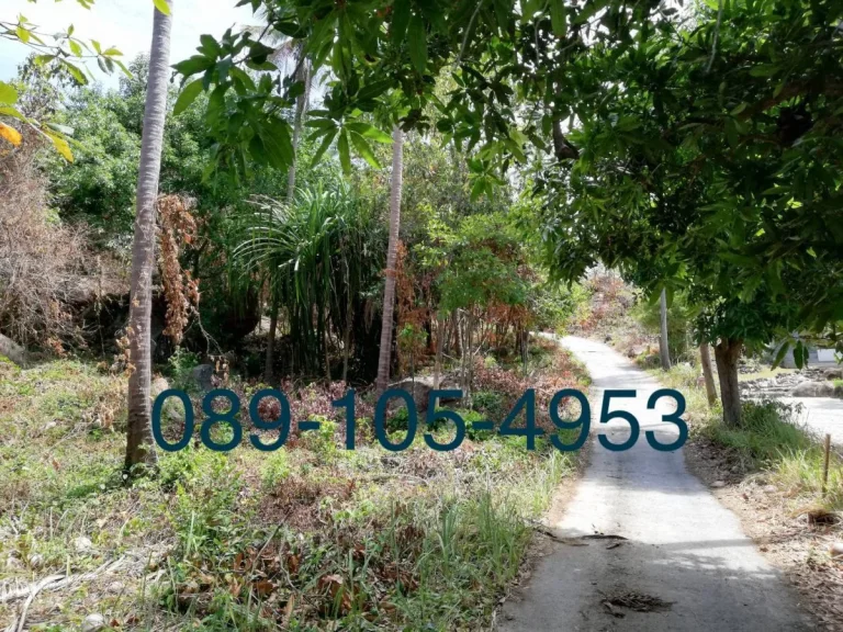 Land For Sale Speacial Price ขายที่ดินสวย วิวทะเล ติดถนนใหญ่ ราคาพิเศษ สนใจติดต่อ 089-105-4953