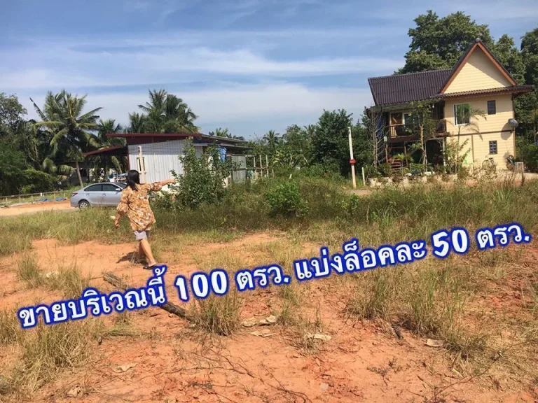 ด่วน ขายที่ดิน 100 ตรว