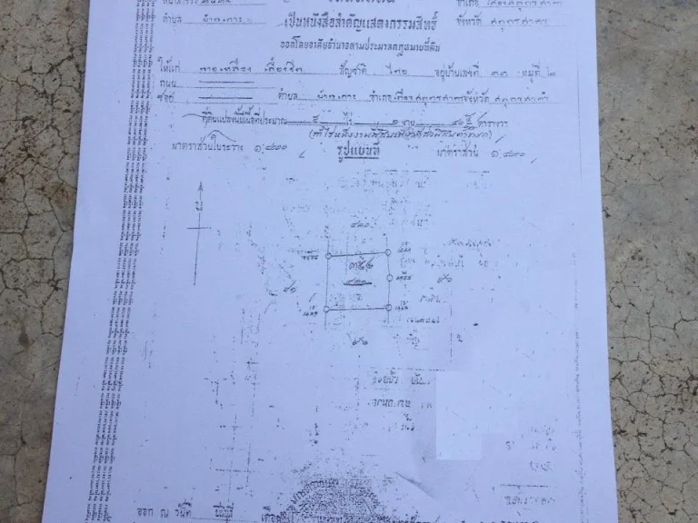 ขายที่ดินสวนแปลงสี่เหลียมสวยติดถนน น้ำ ไฟฟ้า โฉนด 5 ไร่ 1 งานไร่ๆละ 25 ล้าน