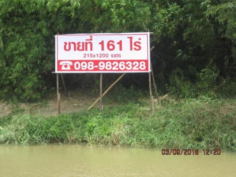 ขายที่ดิน 161 ไร่ อยู่คลองหลวง คลองสาม ปทุม ใกล้วัดพระธรรมกาย