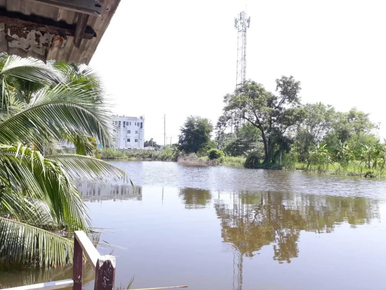 ขายที่ดินย่านมีนบุรี ถนนนิมิตใหม่ กรุงเทพ