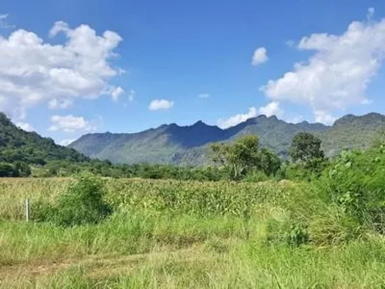 ขายที่ดิน เขาใหญ่ ตพญาเย็น อปากช่อง 70ไร่ วิวเทพสุดๆ