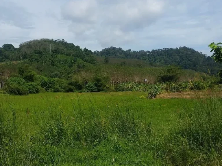 ขายที่ดินใกล้น้ำตกโตนไทรเนื้อที่8ไร่สนใจดู