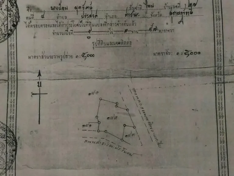 ขายที่ดินสวนปาล์ม ติดถนนสายเอเชีย