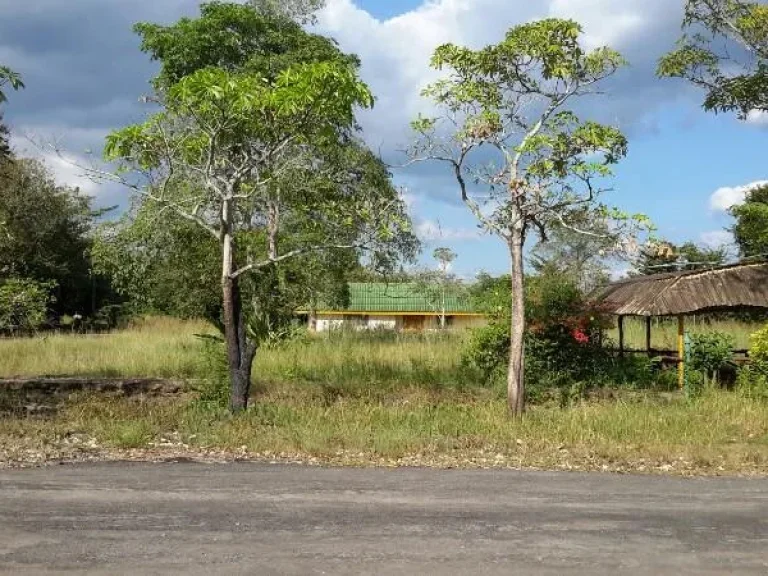 ขายที่ดินติดถนนสุขุมวิทอำเภอนายายอาม จังหวัดจันทบุรี