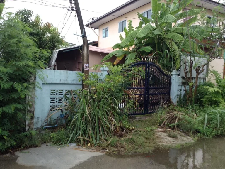 165 ขายที่ดิน พร้อมสิ่งปลูกสร้าง ตรงข้ามแม็คโครบองบอน