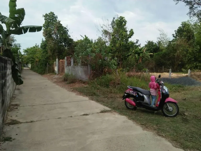 ขายที่ดินตำบลแสนสุข อำเภอวารินจอุบล