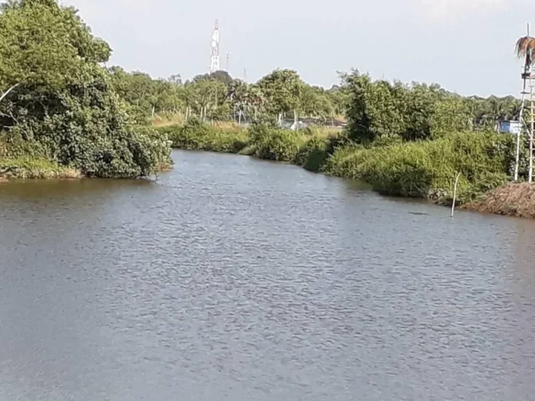 ที่ดินติดคลองลาวน ใกล้หาดแม่พิมพ์ มีน้ำไหลตลอดทั้งปี โฉนด 59 ไร่