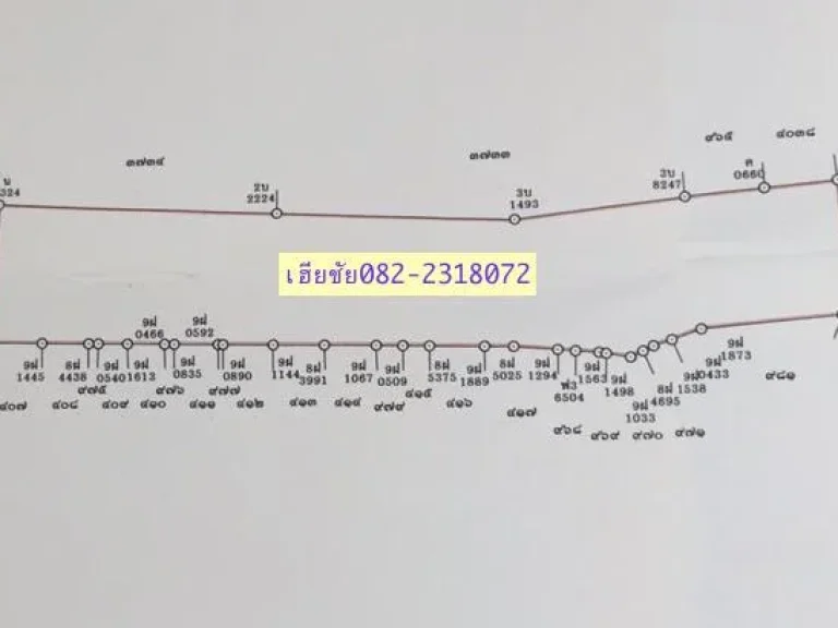 ขายที่ดิน บ้านเกาะ 2-3-48 ไร่ ติดถนนหลัก ในเมืองโคราช