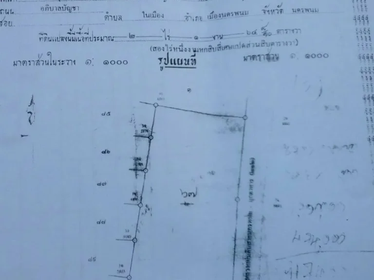 ขายที่ ดิน 2 ไร่ 1งาน 62 ตรว