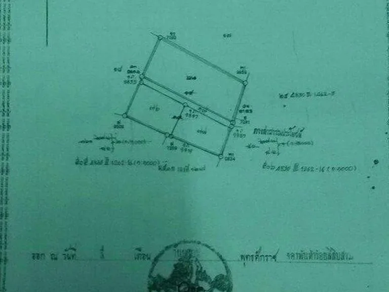 ขายที่ดิน เขตเทศบาลตำบลวังไผ่