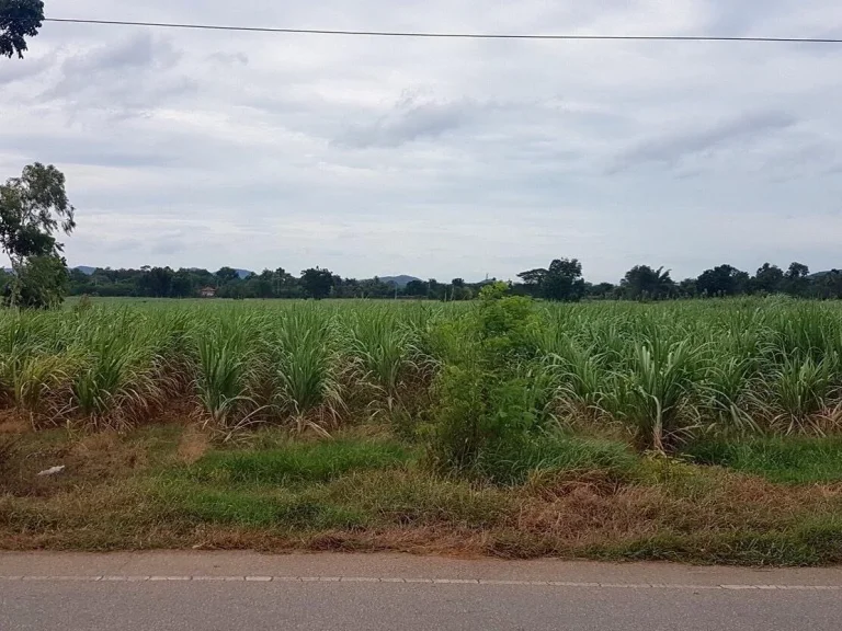 ที่ดินสวยโอบล้อมด้วยธรรมชาติ ถมแล้ว9ไร่ โพธาราม ราชบุรี