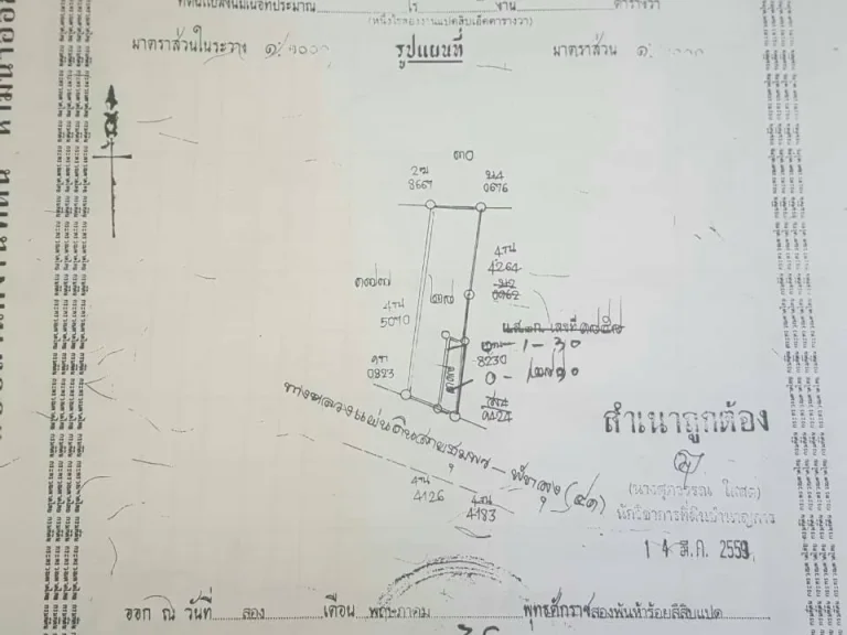 ขายที่ดินติดถนนเอเชีย41