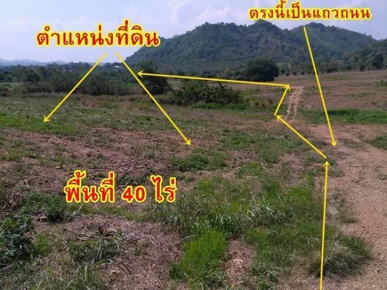 ขายที่ดินหนองย่างเสือ ที่ดิน 40ไร่ กว่าๆ ต หนองย่างเสือ อ มวกเหล็ก จังหวัดสระบุรี