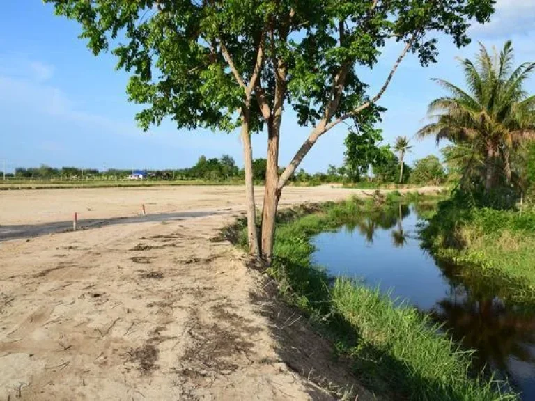 ที่ดินริมห้วยชะอำ ใกล้ชายหาดชะอำ หาดเจ้าสำราญ สนามบินหัวหิน โลตัสท่ายาง