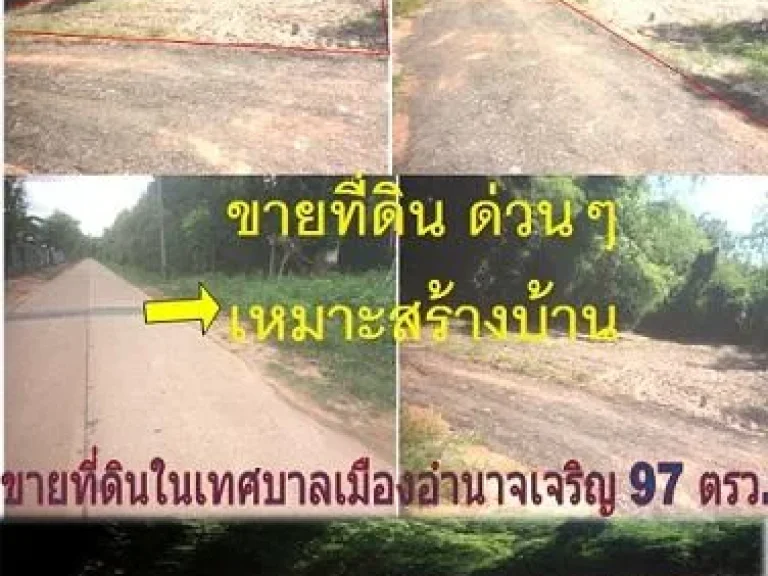 ขายที่ดินเปล่า ในเทศบาลเมืองอำนาจเจริญ เนื้อที่ 97 ตรว เหมาะสร้างบ้าน