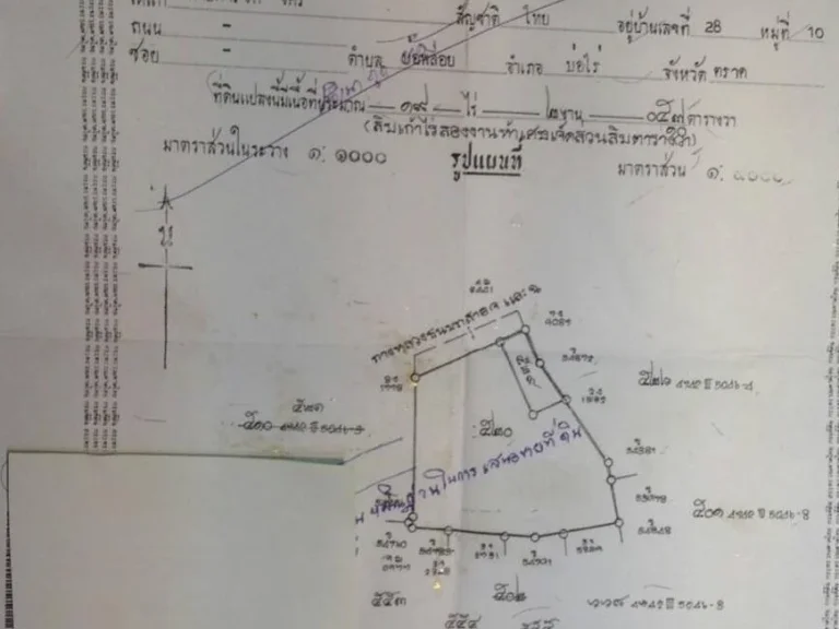 ขายที่ดินเขตเศรษฐกิจพิเศษ