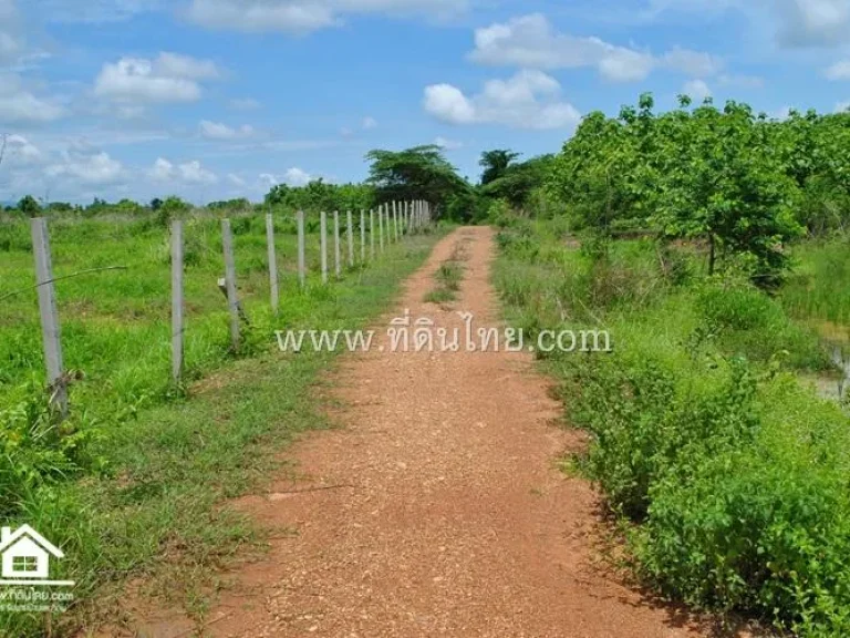 ที่ดิน32-1-77ไร่ ตรวตบ้านกลาง อหล่มสัก จเพชรบูรณ์รหัส 3582