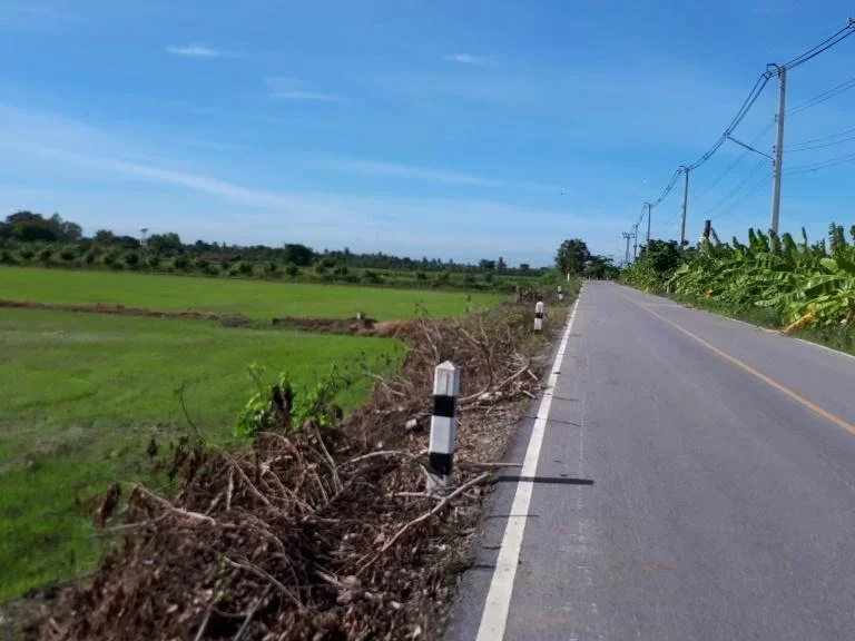 ขายด่วนที่ดินแปลงสวย5ไร่ติดถนนลาดยางติดคลองธรรมชาติ ใกล้ชุมชนใกล้วิทยาลัยสวนสุนันทาใกล้ตลาดเหมาะปลูบ้านหรือทำกำไรในอนาคต