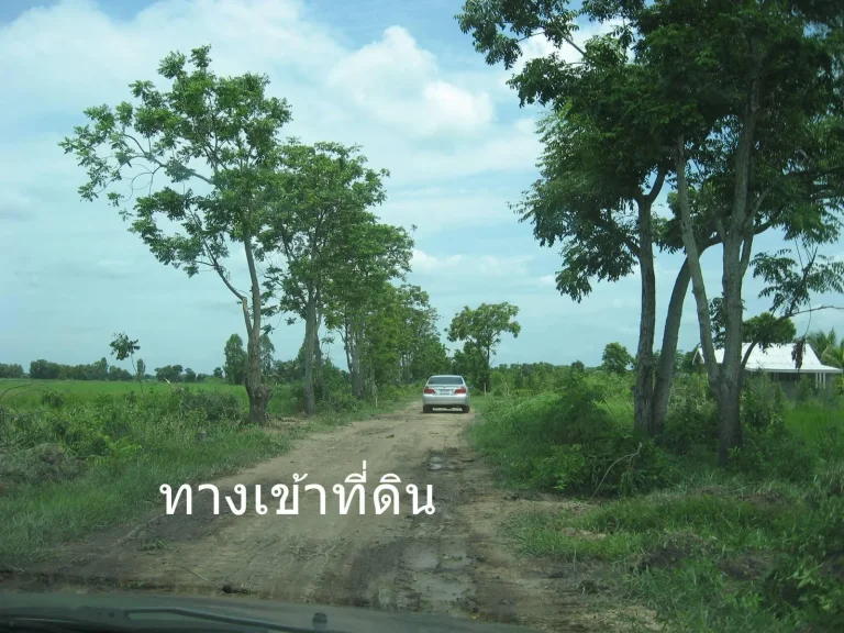 ขายที่ดิน 100 ตรว องค์รักษ์คลอง 23 ห่างถนน 300 เมตร ขาย 150000