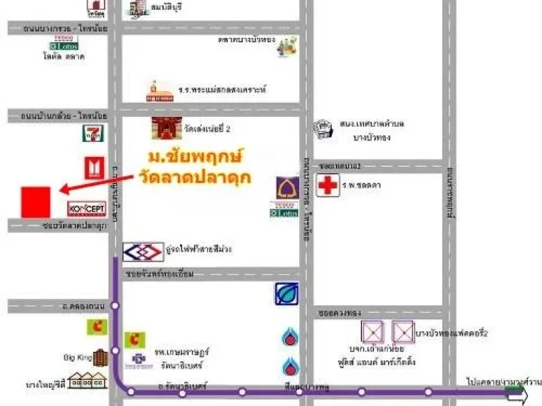 ขายที่ดินบางบัวทอง หมู่บ้านชัยพฤกษ์ ซอยวัดลาปลาดุก 915 ตรว แปลงมุม