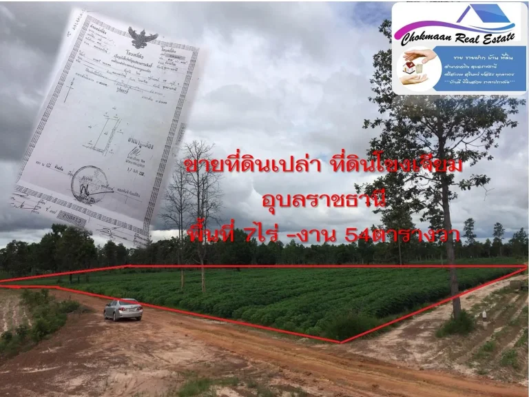 ขายที่ดินเปล่า ที่ดินเห็นวิวเขา ที่ดินโขงเจียม ที่ดินมีโฉนดโขงเจียม