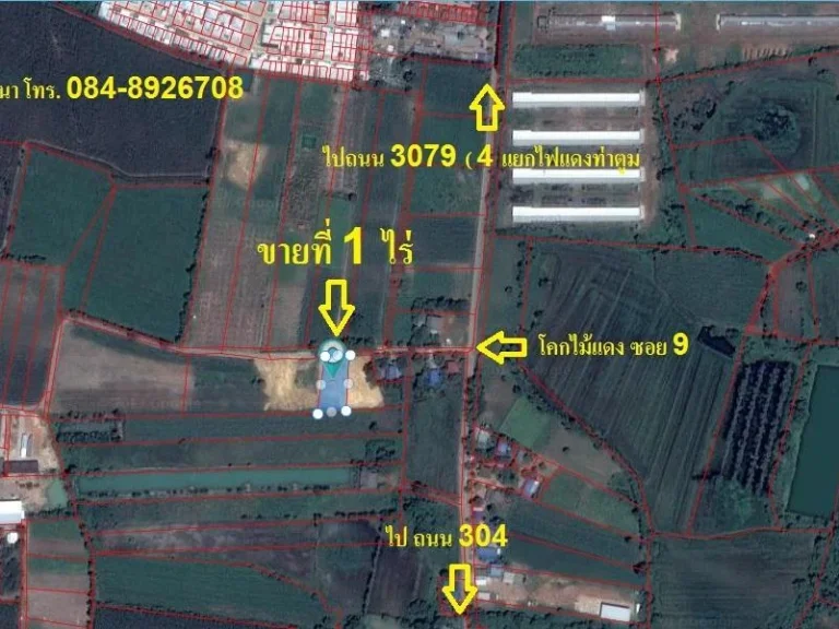 ต้องการขายที่ดินถมแล้ว 1 ไร่ ในเขตนิคม 304 ปราจีนบุรี