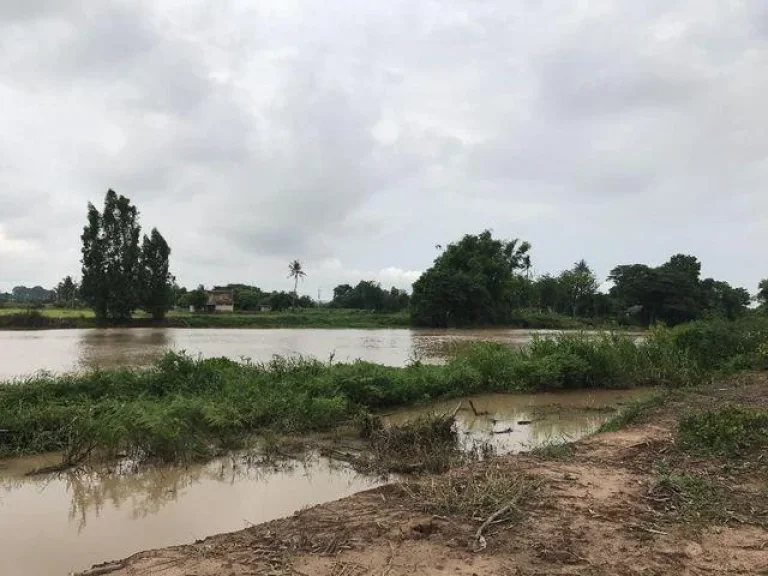 ที่ดินติดแม่น้ำท่าจีน จสุพรรณบุรี ที่สวย ติดแม่น้ำ20เมตร