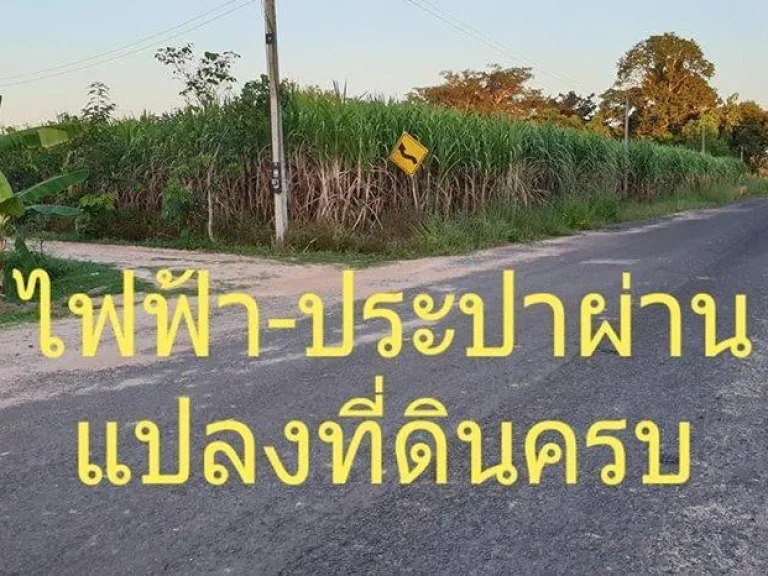 ขายที่ดินไร่อ้อยราคาถูกติดถนนลาดยาง